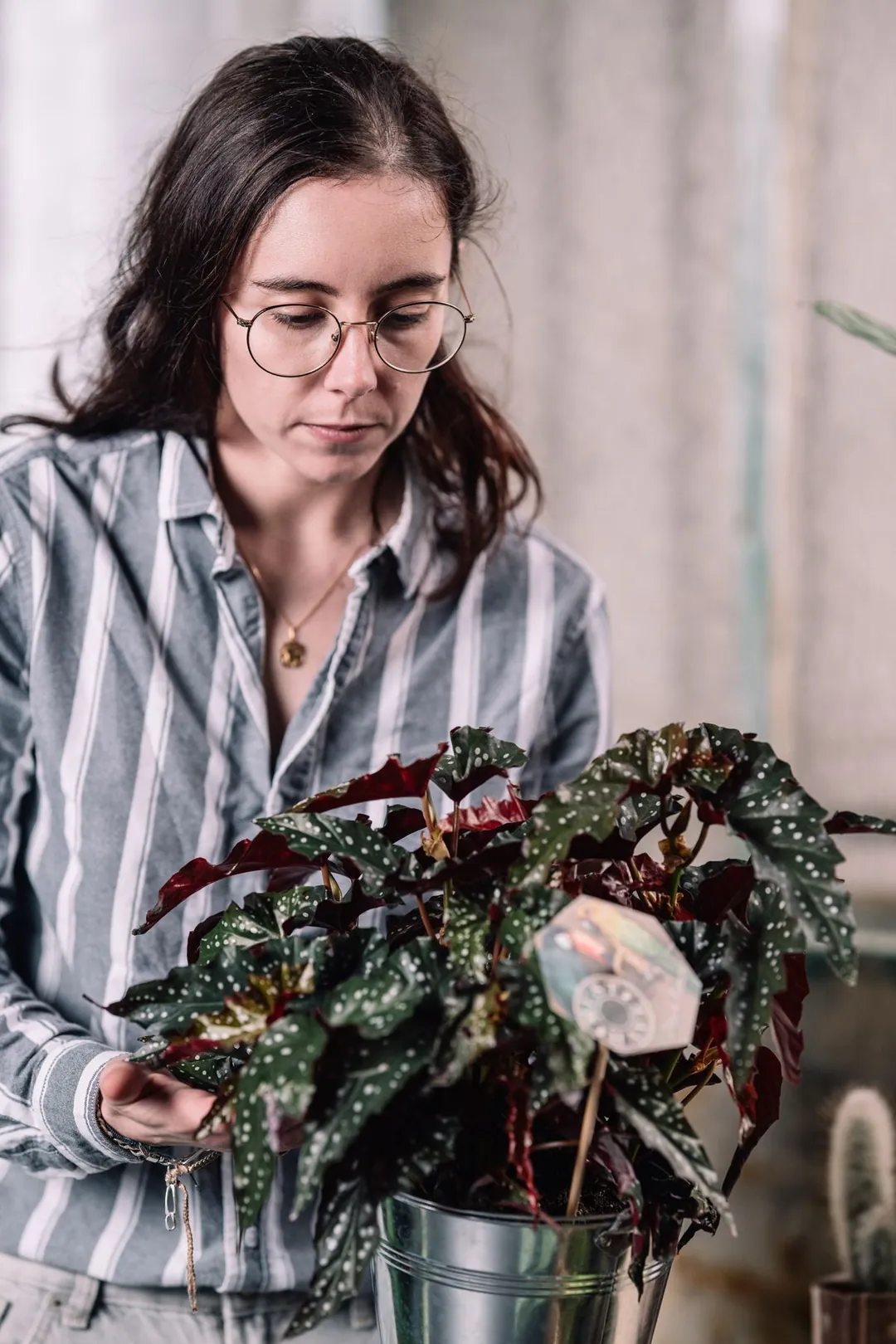 La fleuriste d'Un brin d'aventure examine une plante aux feuilles tachetées