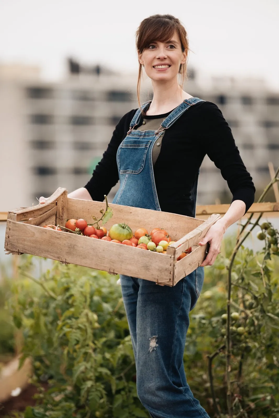 Portrait au potager, une femme tient une cagette de tomates