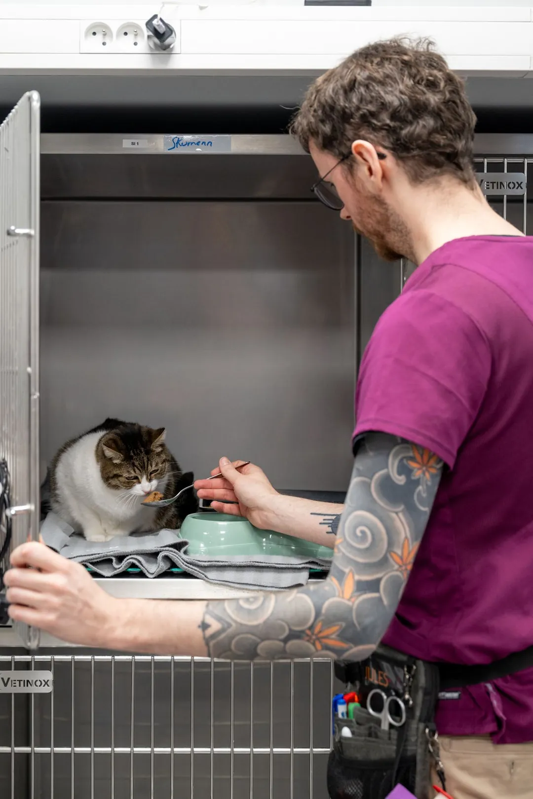 Un soignant tatoué s'occupe d'un chat en cage